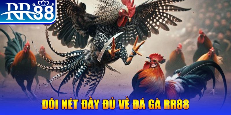 58win1 gà chọi hoà phong