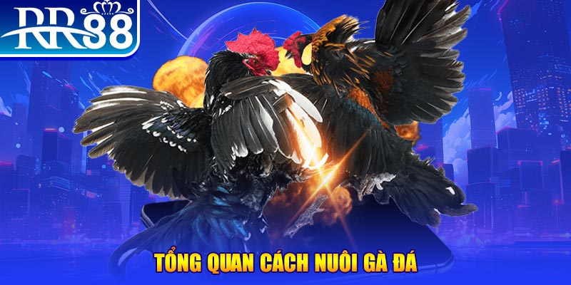 58win1 xổ số thứ ba