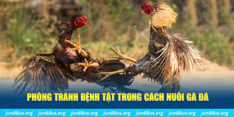 58win1 natural” trong baccarat nghĩa là gì？